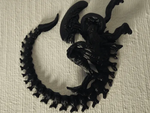 https://makerworld.bblmw.com/makerworld/model/US1118e0997ecf4/design/2025-01-07_269bcf7c874ae8.jpg