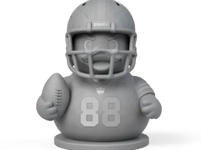 football duckling 