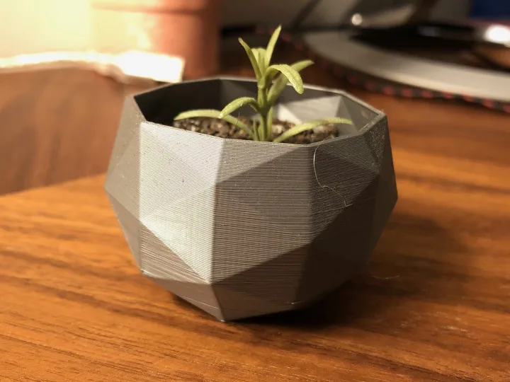 Maceta, plant box