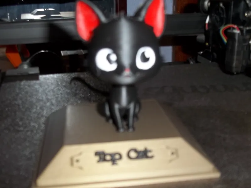 Cute Catv1