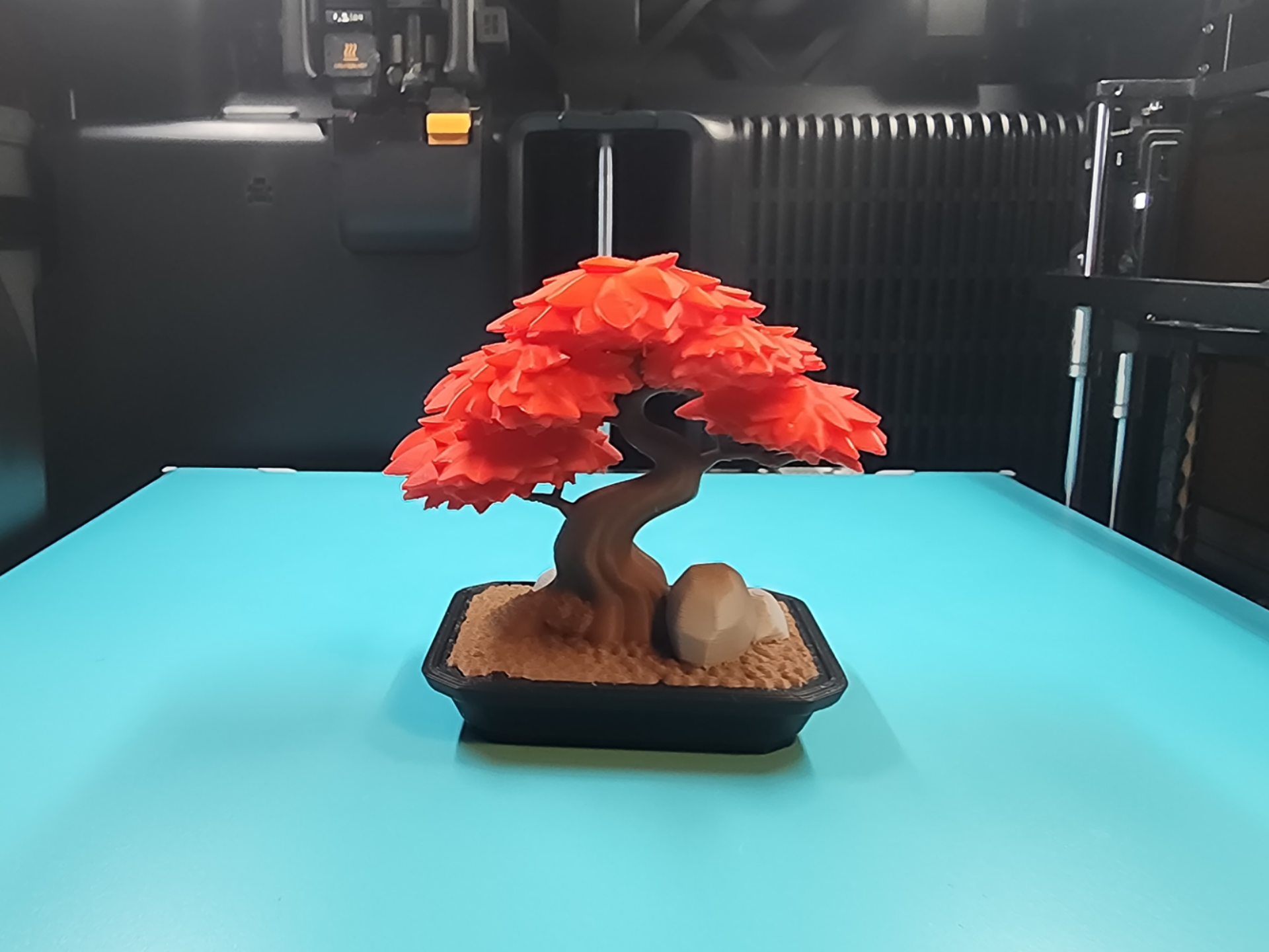 Red Bonsai