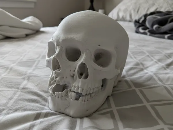 https://makerworld.bblmw.com/makerworld/model/US113360e05e38c6/design/2025-09-26_374788103c27.png
