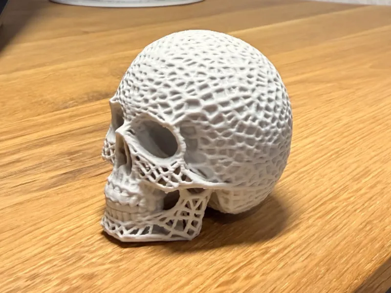 Voronoi Skull – Artistic Hollow Skull Sculpture