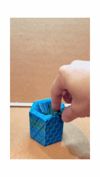 Silk Optimized 0.2mm layer, 2 walls, 10% infill
