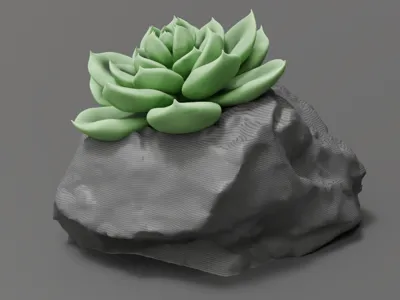 rockpot flowerpot