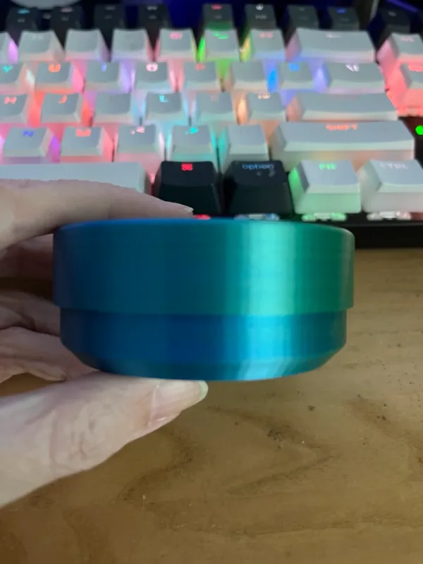 https://makerworld.bblmw.com/makerworld/model/US113d07a936968a/design/2024-02-22_4bc9d06733e2d.jpeg