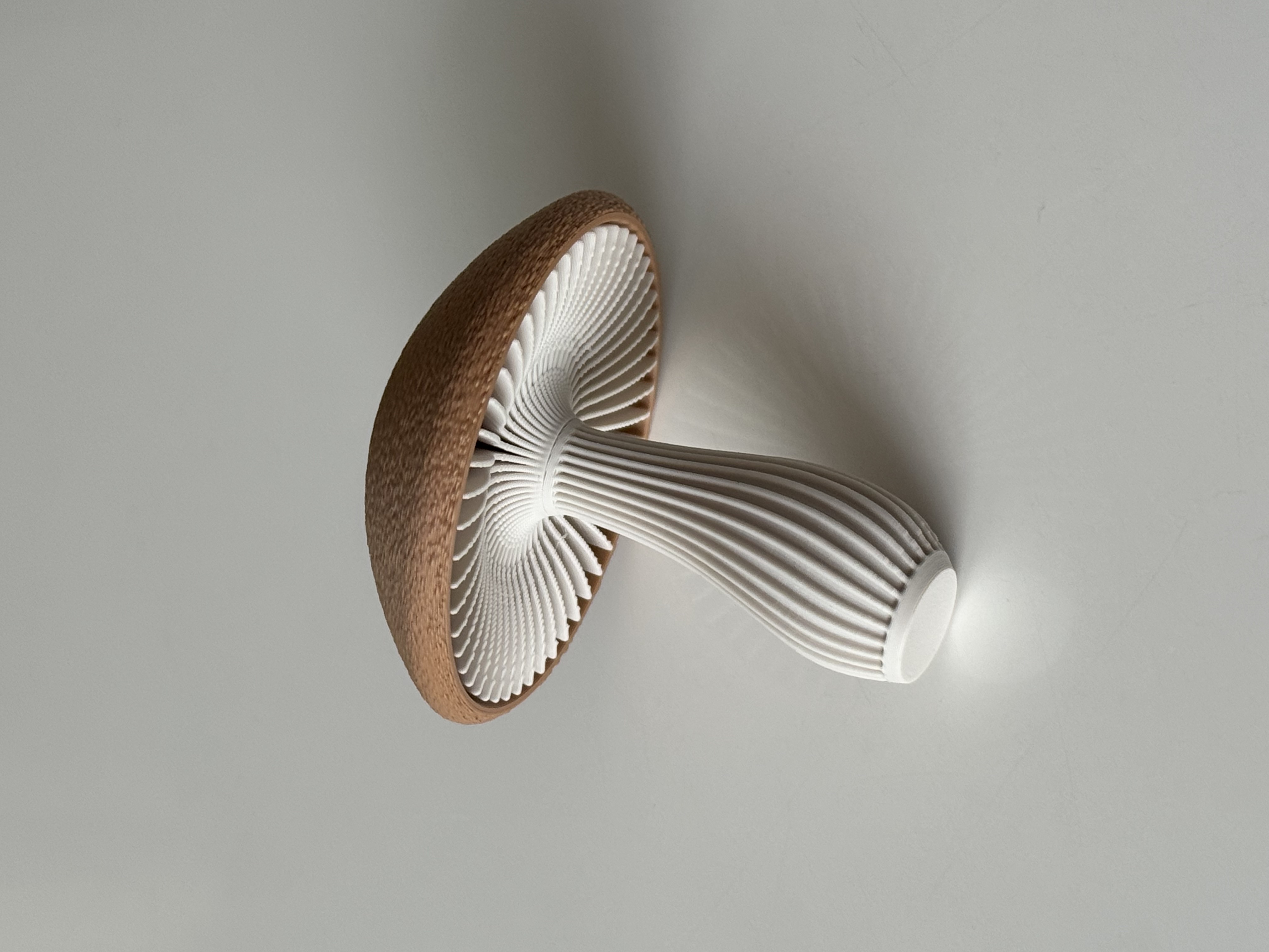 More realistic Lamellae Mushroom (japandi style) - 1