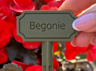 Begonie Schild