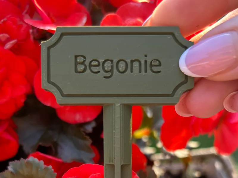 Begonie Schild