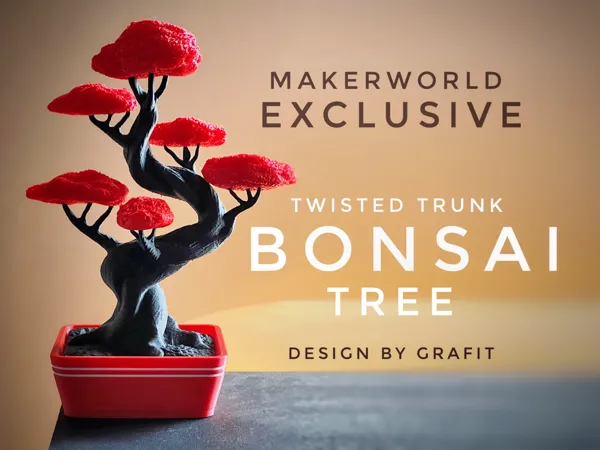 https://makerworld.bblmw.com/makerworld/model/US1146787a507eac/design/2024-12-10_8873e39795ea.jpeg