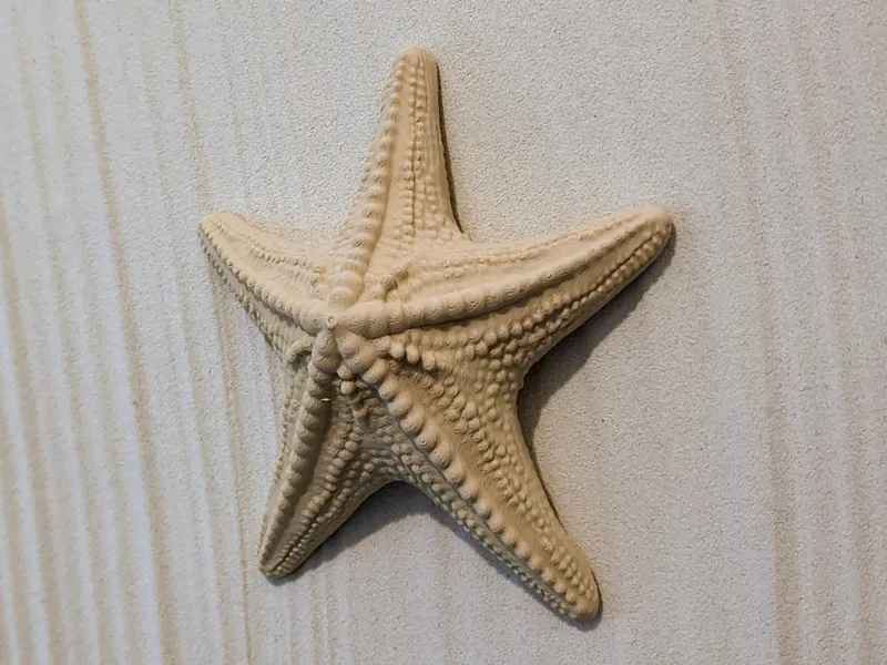 Starfish Hanging Ornament