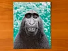 Chroma Canvas Print Profile