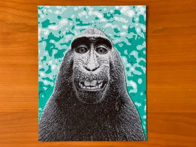 Monkey Selfie