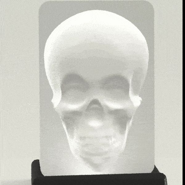 Optical illusion - Murray the tracking Skull