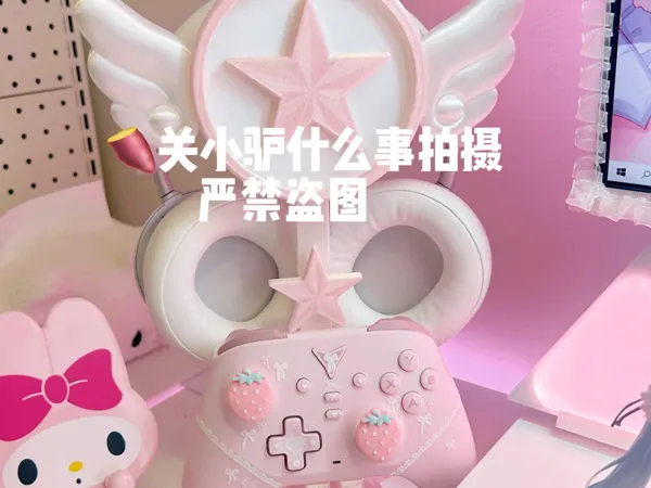 https://makerworld.bblmw.com/makerworld/model/US115259056b95fe/design/678f650368c273fa.jpg