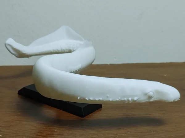 https://makerworld.bblmw.com/makerworld/model/US1153a0d9c6d2f3/design/2025-04-13_95f5a806fb5c.jpg