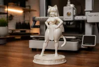 0.1mm layer, 2 walls, 8% infill