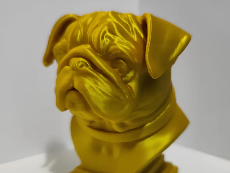 Pug Busto
