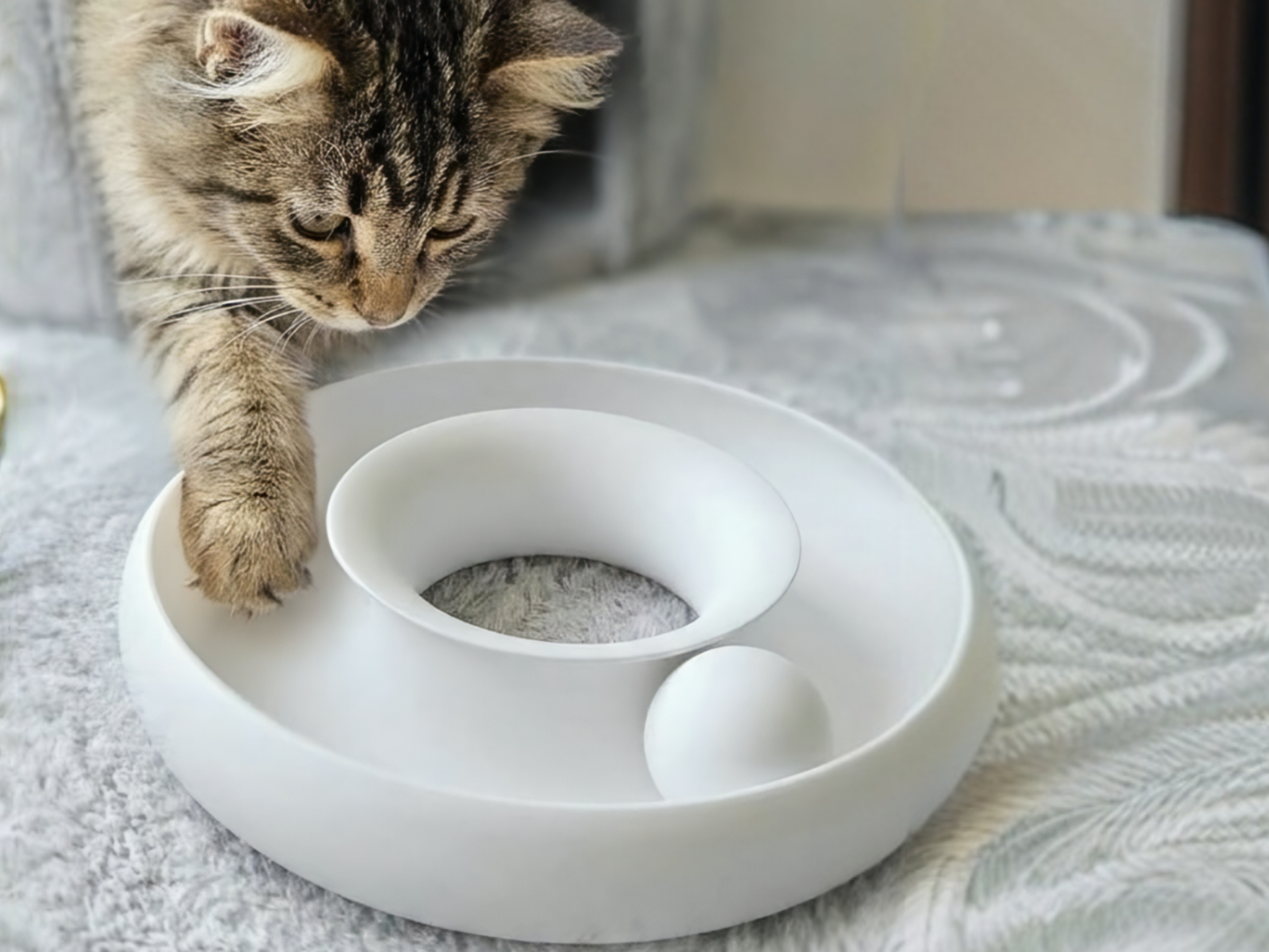 3D модель Cat Ring Toy Donut — 3D-друкована іграшка-кільце для кота з кулькою | Для котиків Львів — 3D друк Львів