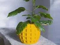 0.2mm layer, 3 walls, 5% infill