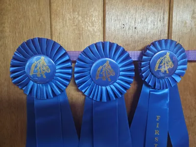 Rosette or Ribbon Wall Mount