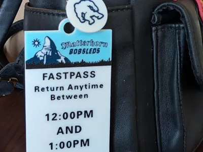 Matterhorn FastPass Keychain & Charm