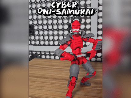 https://makerworld.bblmw.com/makerworld/model/US1170376c4645be/design/2025-08-19_3cc1590d2851a.gif