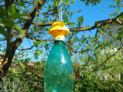 Bottle Cap Trap for Flies & Pests