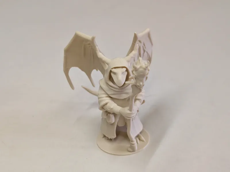 Dragonborn Necromancer