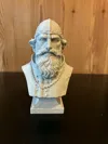 0.2mm layer, 3 walls, 7% infill