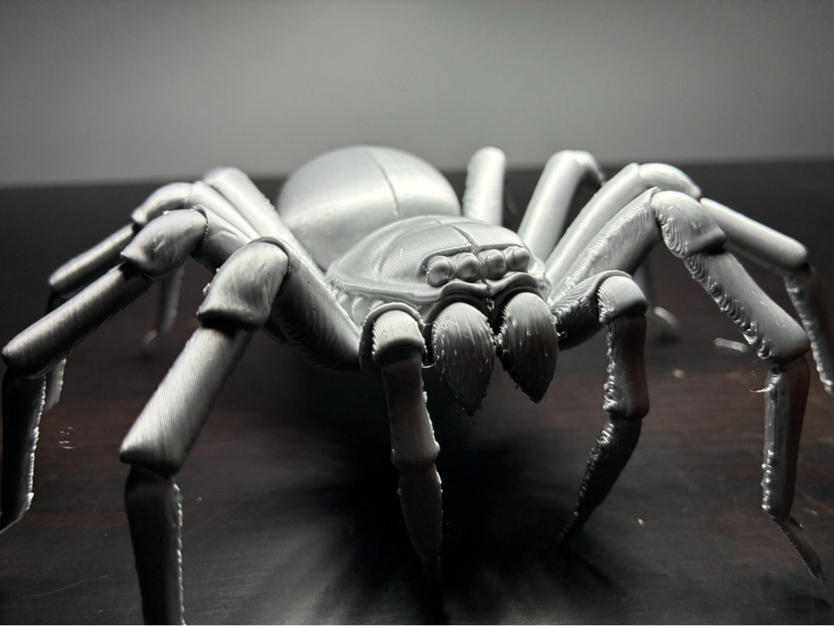Goliath Birdeater Spider Static - Ultra-Realistic 