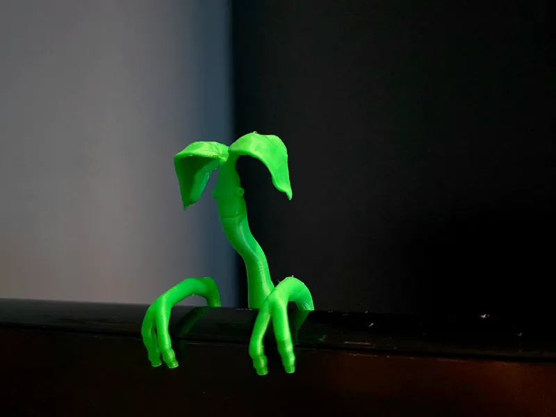 Monitor Bowtruckle