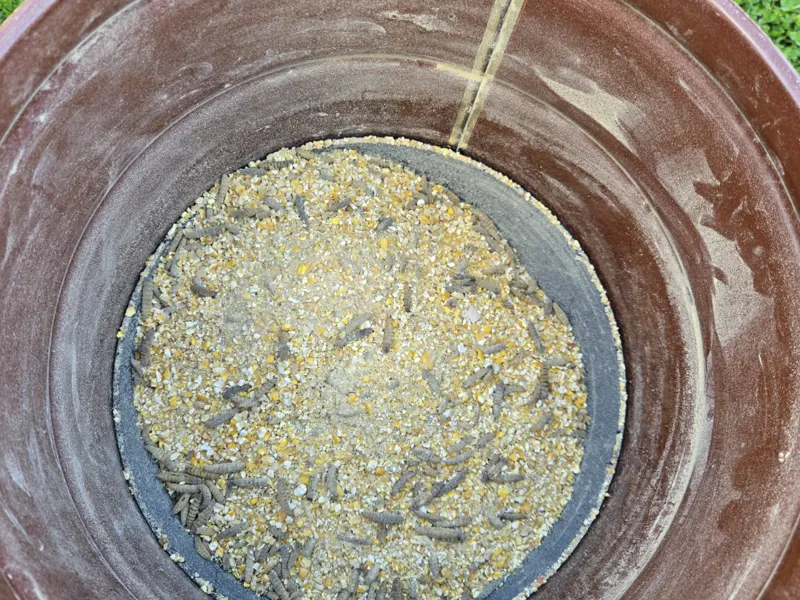 5 gallon Feeder funnel