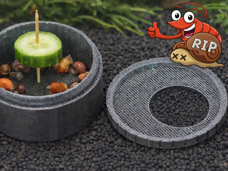 Aquarium Snail Trap - simple with lid
