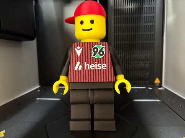 https://makerworld.bblmw.com/makerworld/model/US117cf7e9d6f07f/design/4e14ceb5b62169ce.jpeg