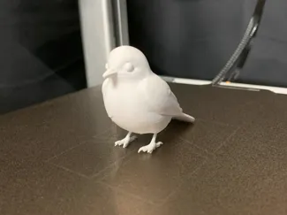 Piccolo uccellino carino e grazioso