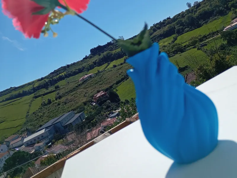 Vaso Carinho 