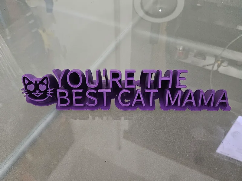 CAT SIGN TREAT