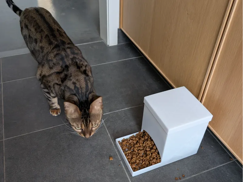Pet Feeder intended for cats