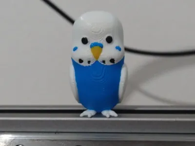 Australian parakeet magnet