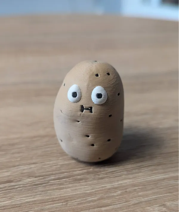 https://makerworld.bblmw.com/makerworld/model/US11906da5569e85/design/2024-08-30_a68435738e318.jpg