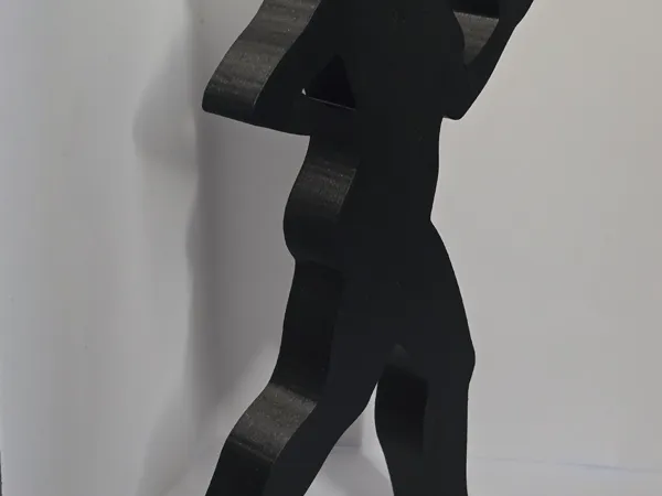 https://makerworld.bblmw.com/makerworld/model/US1192883c0fcc43/design/2025-12-11_a53677bf9448c.jpg