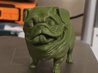 funny pug