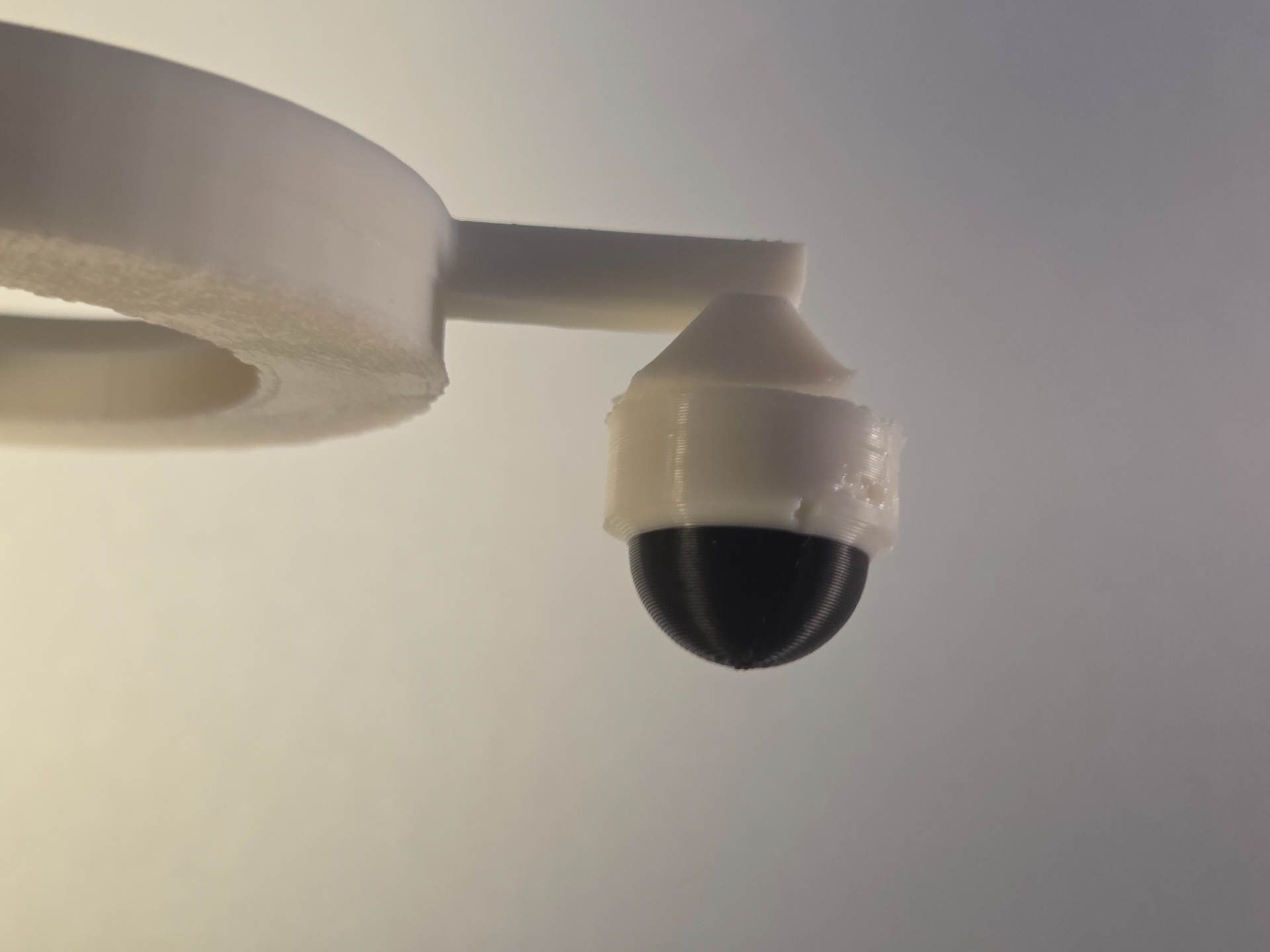 Fake Dome Camera