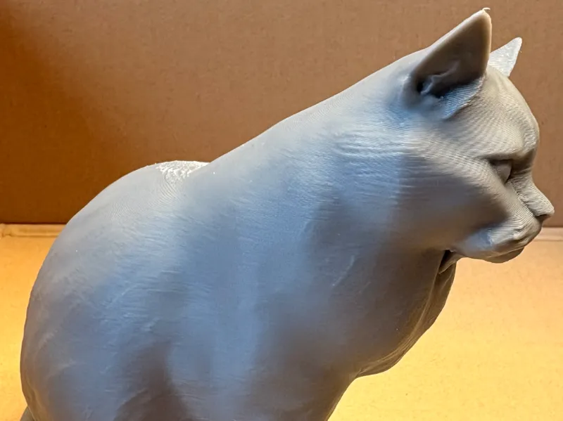 Kurz Haar Katze 