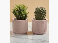 Pot à succulentes strié — photo 2