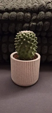 Pot à succulentes strié — photo 3