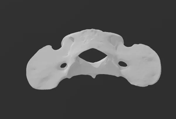 https://makerworld.bblmw.com/makerworld/model/US11a189412f7444/design/2024-01-27_c7784b2f73a99.png