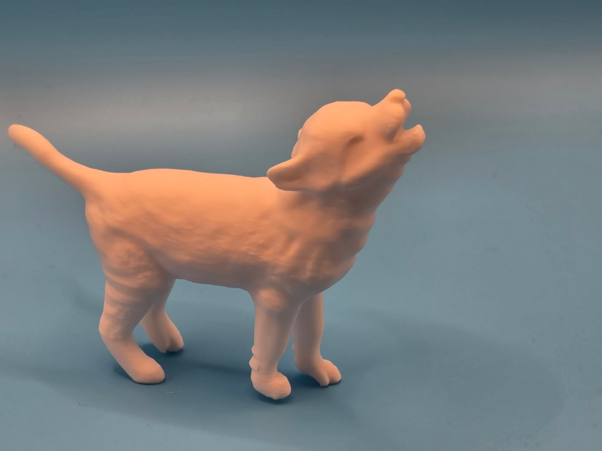 Howling Baby Wolf  – Tiere aus aller Welt