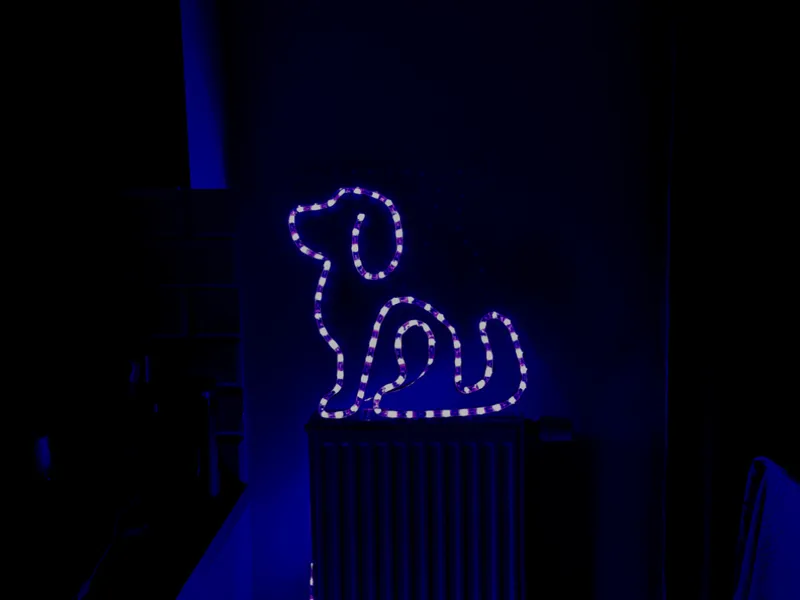 Neon Dog Lamp